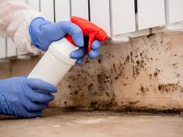 Professional Mold Inspection in Girard, PA